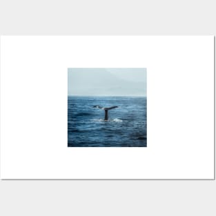 Whale tail - Hamptons Style Posters and Art